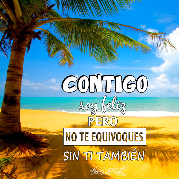 Palmeras en la playa