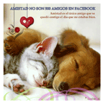 Perro y gato durmiendo