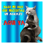 Abrazo de gato